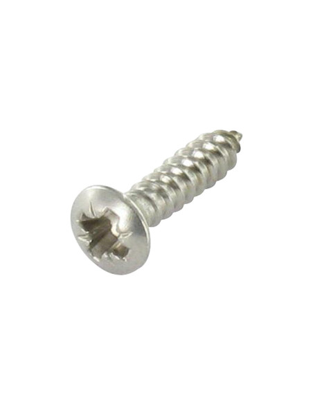 1 x Vis tôle Tête fraisée bombée TFB Pozi 3.5X19 Inox A4