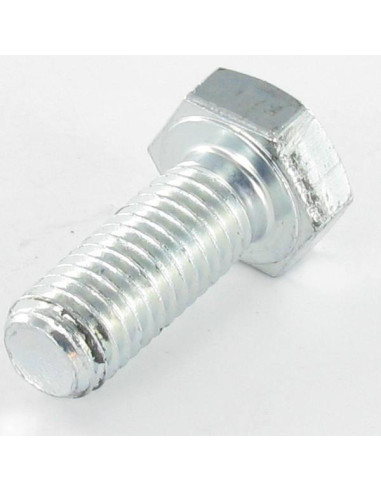 1 x Vis métaux Tête hexagonale TH M10X120...