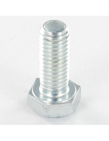 1 x Vis métaux Tête hexagonale TH M10X120...