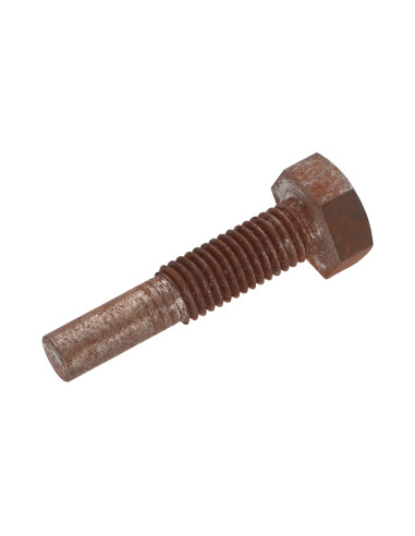 1 x Vis métaux Tête hexagonale TH M10X45 Classe...