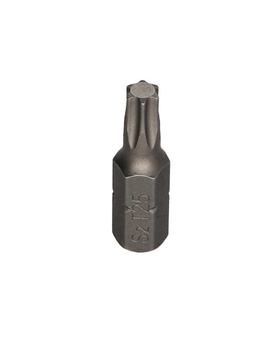 1 x Embout TORX T25 FIXOMAX