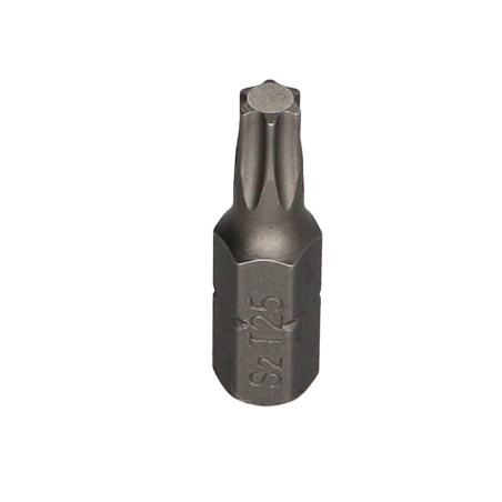 1 x Embout TORX T25 FIXOMAX