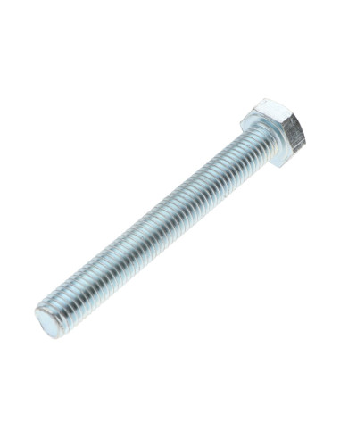 1 x Vis métaux Tête hexagonale TH M8X80 Classe...