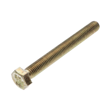 1 x Vis métaux Tête hexagonale TH M10X70 Classe 6.8 Bichromaté