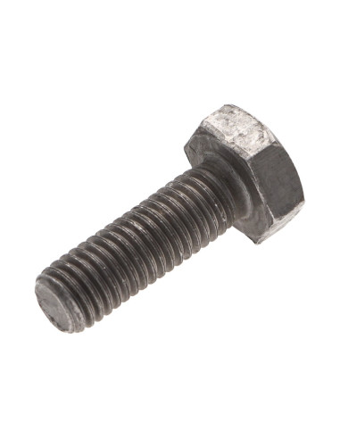 1 x Vis métaux Tête hexagonale TH M2X4 Acier brut