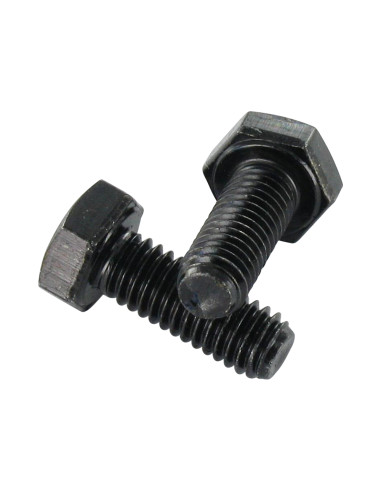 1 x Vis métaux Tête hexagonale TH M6X12 Classe...