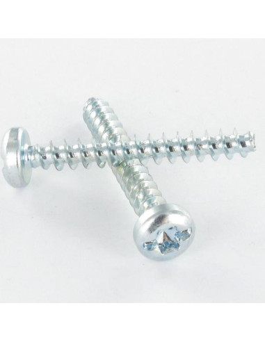 1 x Vis pvc Tête cylindrique TC TORX T25 /FEND...