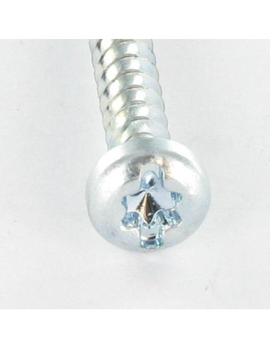 1 x Vis pvc Tête cylindrique TC TORX T25 /FEND...
