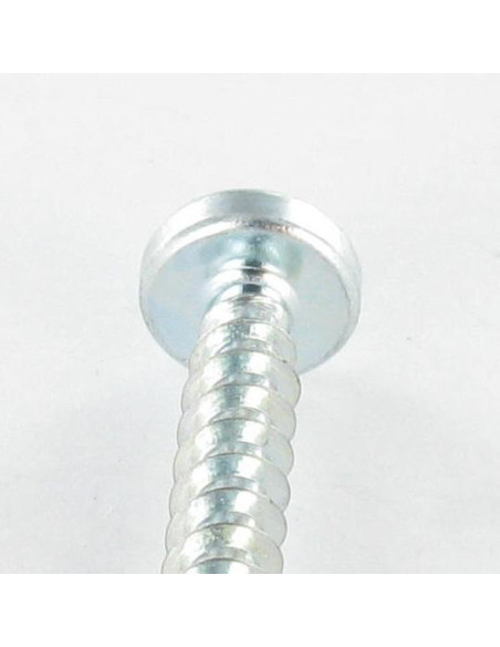 1 x Vis pvc Tête cylindrique TC TORX T25 /FEND 5X12 Filet 30 Acier zingué