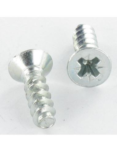 1 x Vis pvc Tête fraisée Pozi N°2 5X16 Acier...