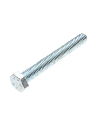 1 x Vis métaux Tête hexagonale TH M16X80 Classe...