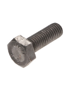 Vis métaux Tête hexagonale TH M2X6 Acier brut
