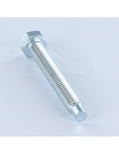 1 x Vis métaux Tête hexagonale TH M5X38.5 Bout...