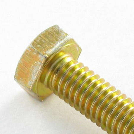 1 x Vis métaux Tête hexagonale TH M6X100 Classe 6.8 Bichromaté
