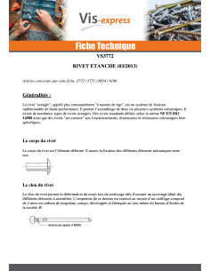 Rivet Etanche GOSTOP Aluminium Tige acier Tête plate 4X10