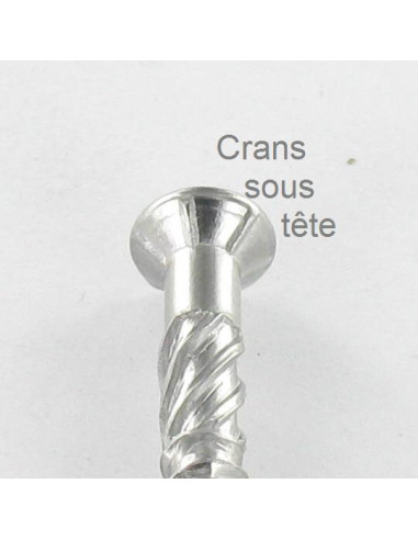 1 x Vis terrasse TEKOR Tête fraisée Cranté TORX...