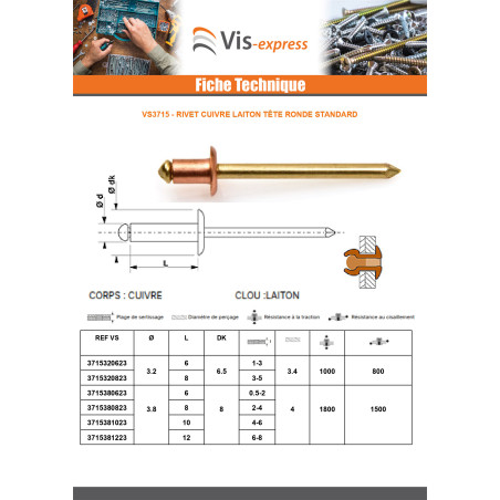 1 x Rivet TRS cuivre tige laiton 3.8X8