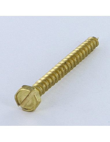 1 x Tirefonds Laiton 6X60 FIL TOTAL T.FEND