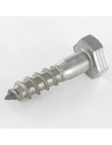 1 x Tirefonds Inox A2 12X120