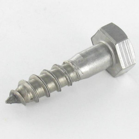 1 x Tirefonds Inox A2 8X180