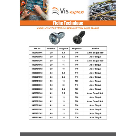 1 x Vis tôle Tête cylindrique TC TORX T25 4.8X13 Acier zingué