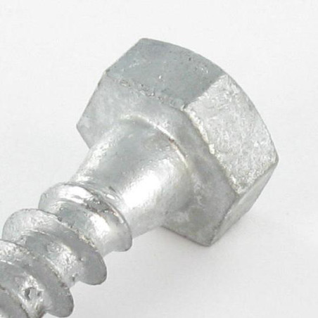 1 x Tirefonds 10X200 Forte tenue à la corrosion Acier galvanisé à chaud