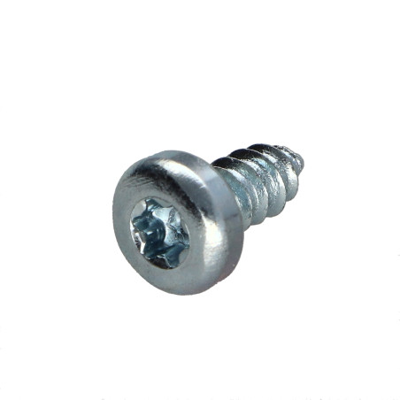1 x Vis tôle Tête cylindrique TC 3.5X38 TORX T10 Bichromaté