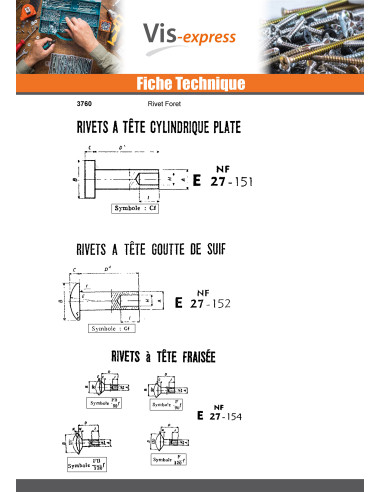 1 x Rivet FORES Acier zingué Tête goutte de...