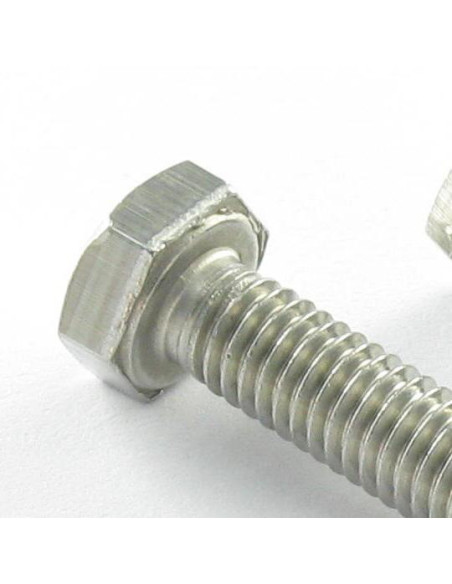 1 x Vis métaux Tête hexagonale TH M10X12 Inox A4