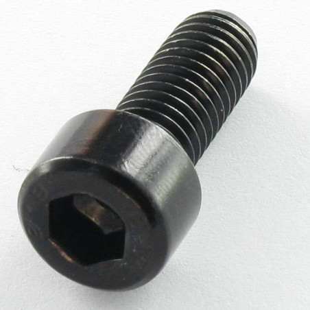 1 x Vis métaux CHC BTR M10X16 Filetage total Classe 8.8 Clé de 8 HC8 Acier zingué noir