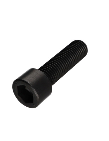 1 x Vis métaux CHC BTR Clé de 17 HC17 M20X70...