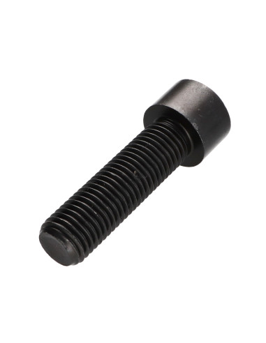 1 x Vis métaux CHC BTR Clé de 17 HC17 M20X70...
