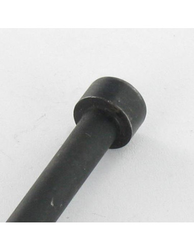 1 x Vis métaux CHC BTR Clé de 17 HC17 M20X100...