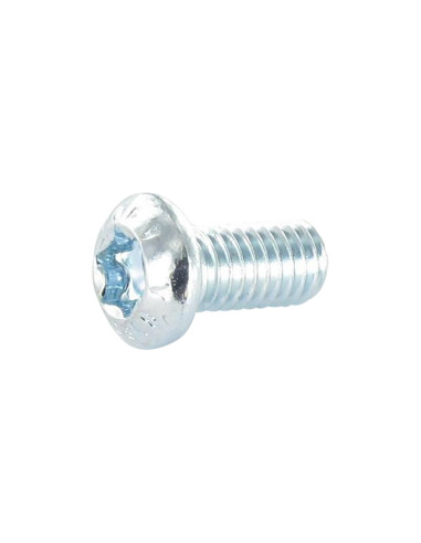 1 x Vis métaux Tête bombée TORX T20 M4X70...