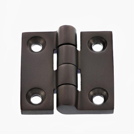 1 x Charnière Carrée 38X38 Inox A4 Noir