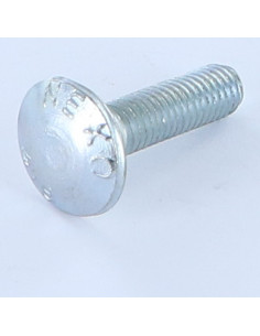 TRCC JAPY tête ronde collet carré M8X30 Filetée sur 22...