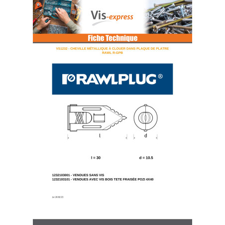1 x Cheville à clouer métallique 10.5X30 Avec Vis RAWLPLUG
