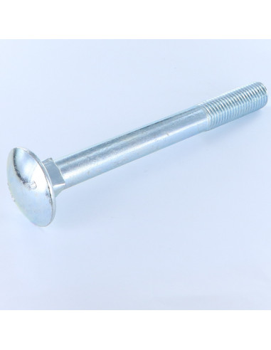 1 x TRCC JAPY tête ronde collet carré M16X180...
