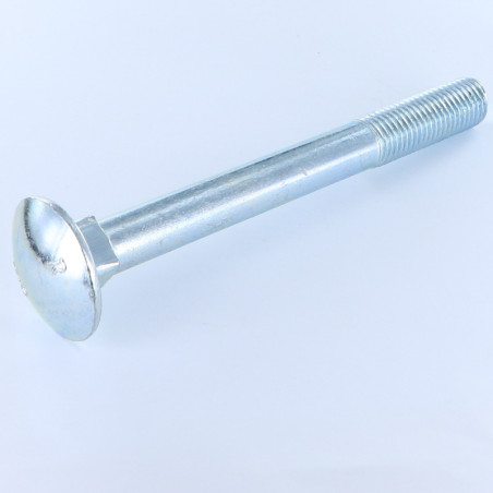 1 x TRCC JAPY tête ronde collet carré M20X180 Filetage partiel Acier zingué