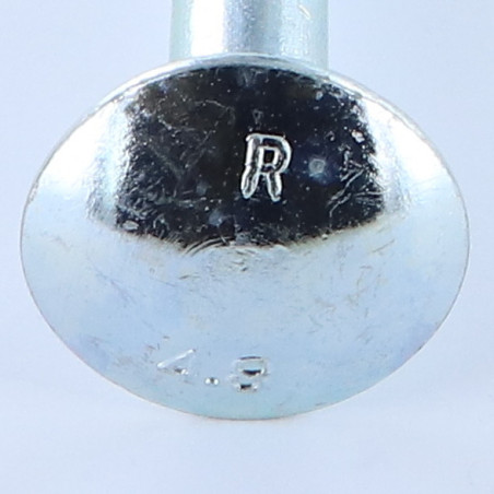 1 x TRCC JAPY tête ronde collet carré M16X100 Filetage partiel Acier zingué