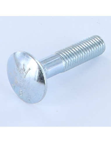 1 x TRCC JAPY tête ronde collet carré M10X45...