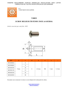 Vis HUBLOT Tête bombée Fendue M4/14 6X16 Diamètre de... 2