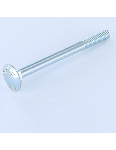 1 x TRCC JAPY tête ronde collet carré M6X65...