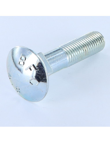 1 x TRCC JAPY tête ronde collet carré M20X100...