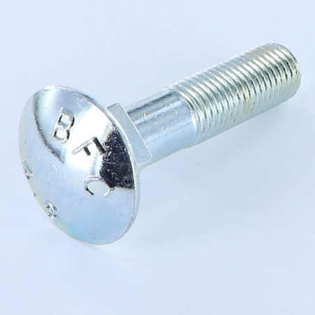 1 x TRCC JAPY tête ronde collet carré M20X100 Filetage partiel Acier zingué