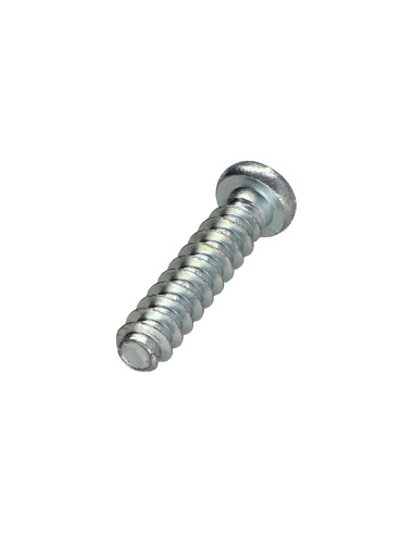 1 x Vis Euro Tête cylindrique bombée TCB POZI...