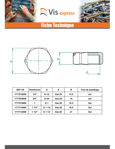 1 x Bouchon femelle Figure 300 50X60 (2") Laiton