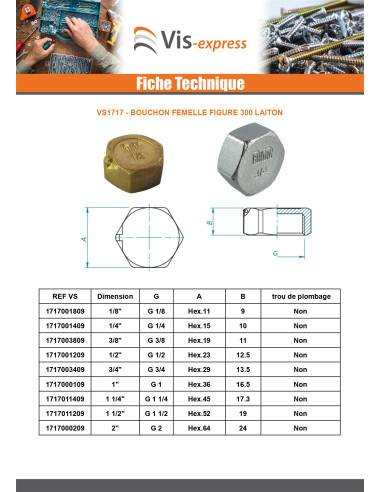 1 x Bouchon femelle Figure 300 5X10 (1/8") Laiton
