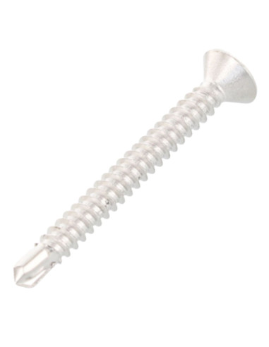 1 x Vis autoperceuse Tête fraisée 4.8X100 TORX...