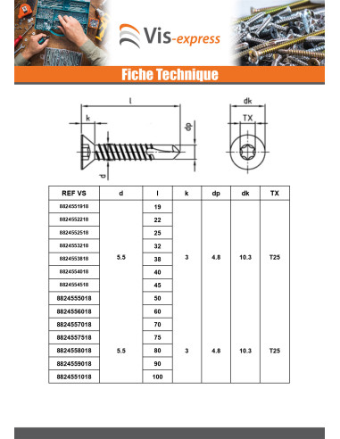 1 x Vis autoperceuse Tête fraisée 4.8X100 TORX...